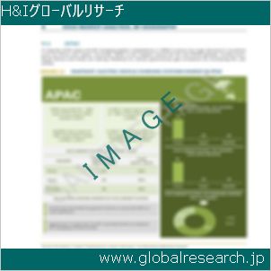 グローバルリサーチ調査レポートのイメージ